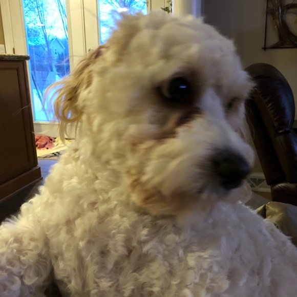 maggieyaug